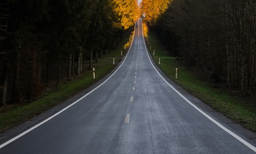 Weg Natuur