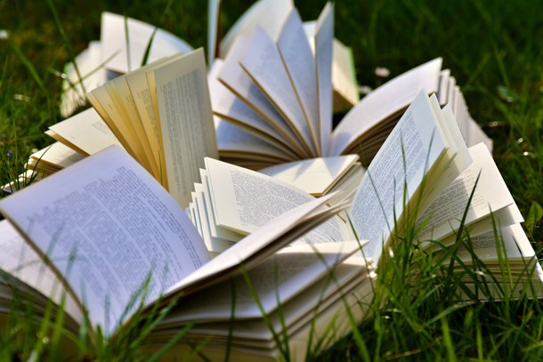 book-pages-books-close-up-grass-415078.jpg
