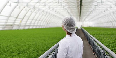 EFRO 2021-2027: Nieuwe ronden, nieuwe kansen voor groenere en slimmere regio’s in Nederland